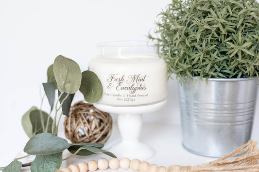 Fresh Mint & Eucalyptus Scent Candle - 8oz Soy Candle